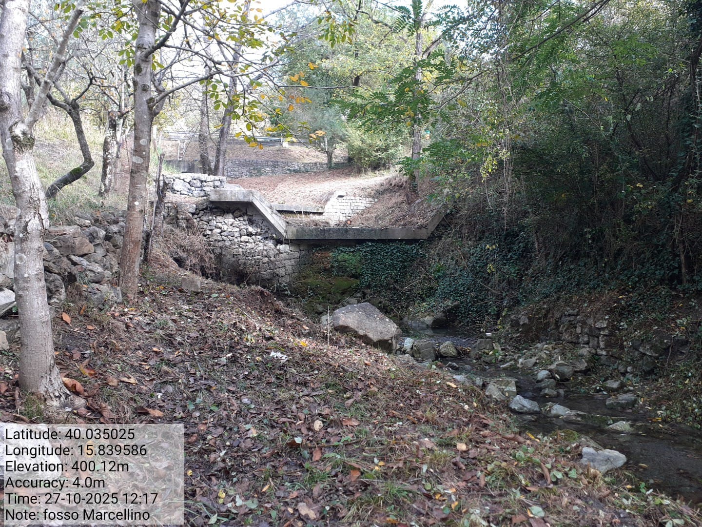 Galleria Fotografica Immagine