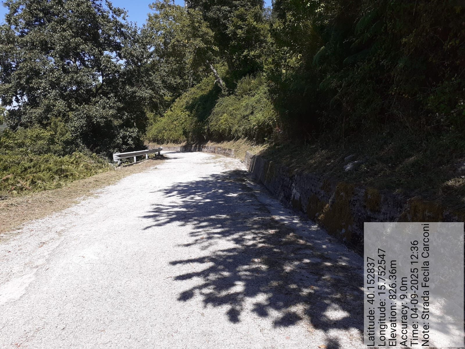 Galleria Fotografica Immagine