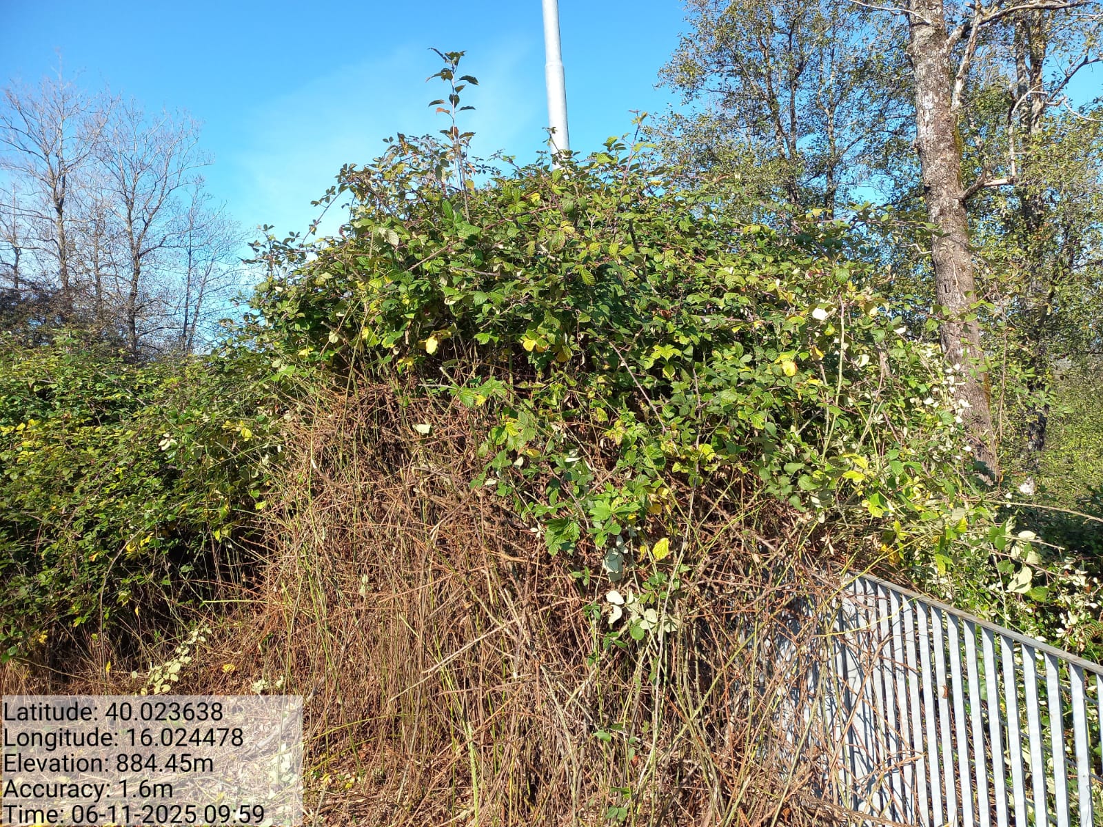 Galleria Fotografica Immagine