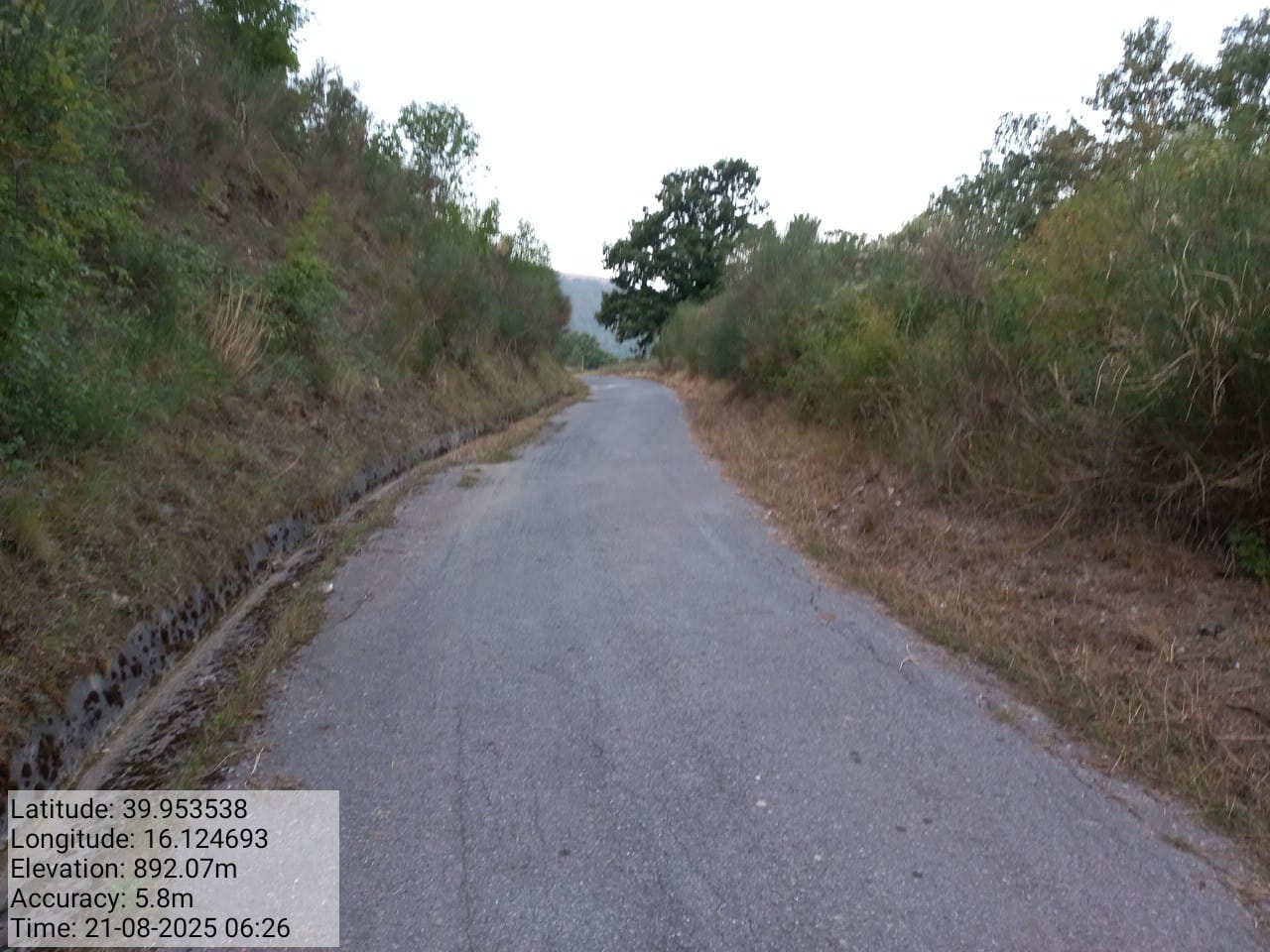 Galleria Fotografica Immagine