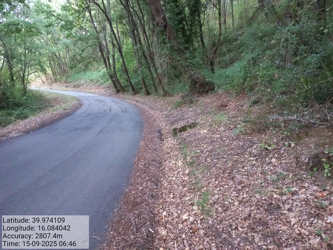 Galleria Fotografica Immagine