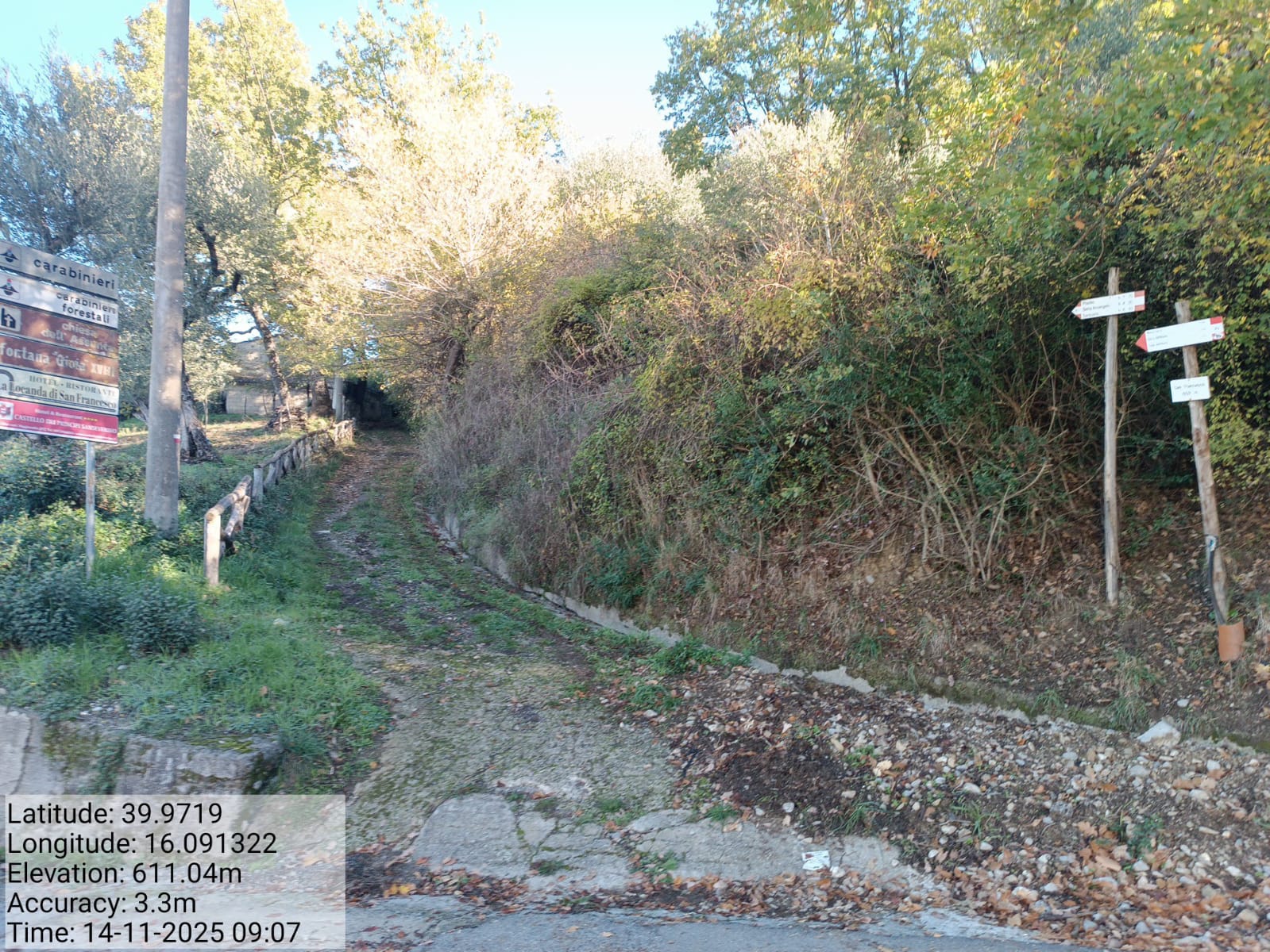 Galleria Fotografica Immagine