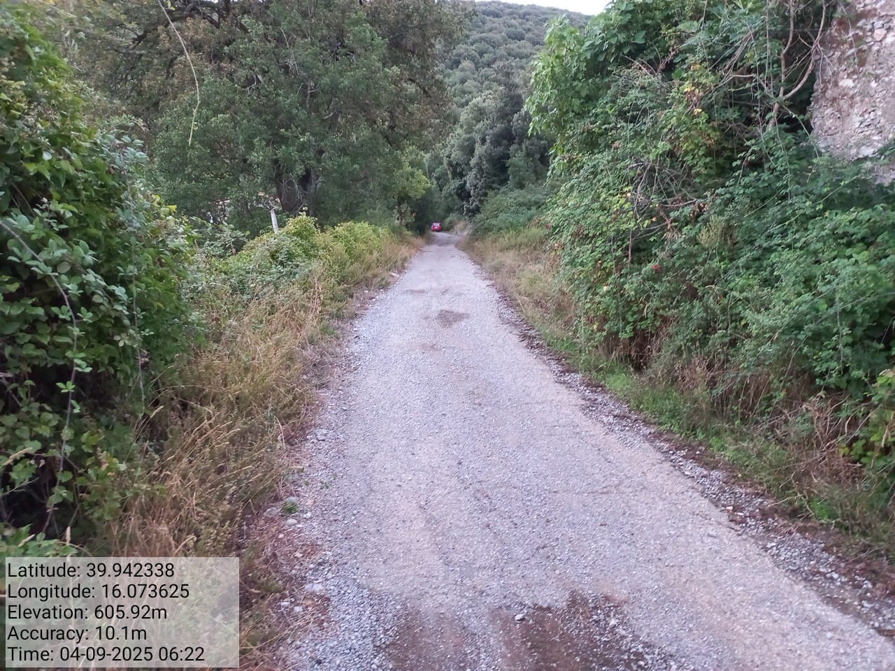 Galleria Fotografica Immagine