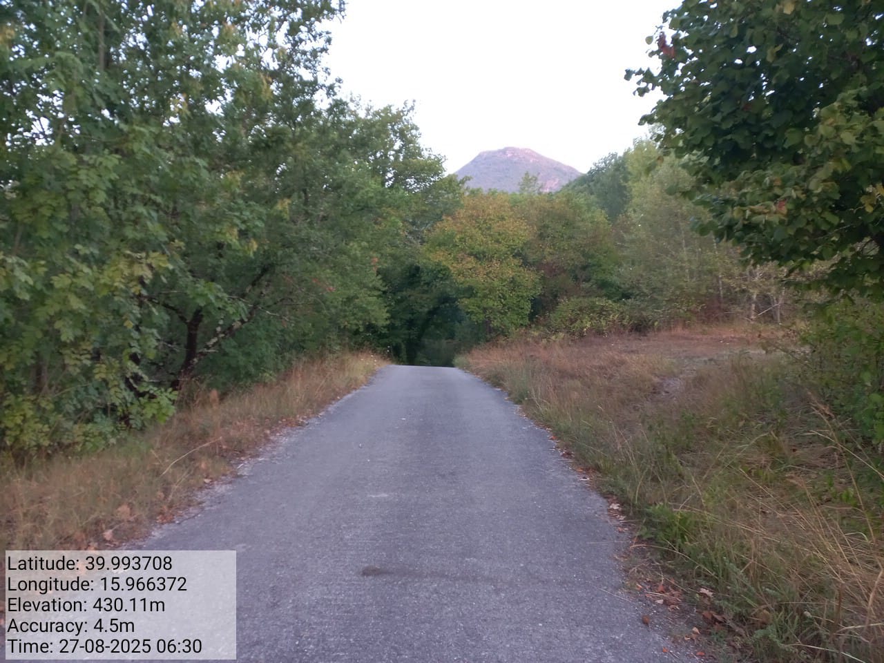 Galleria Fotografica Immagine