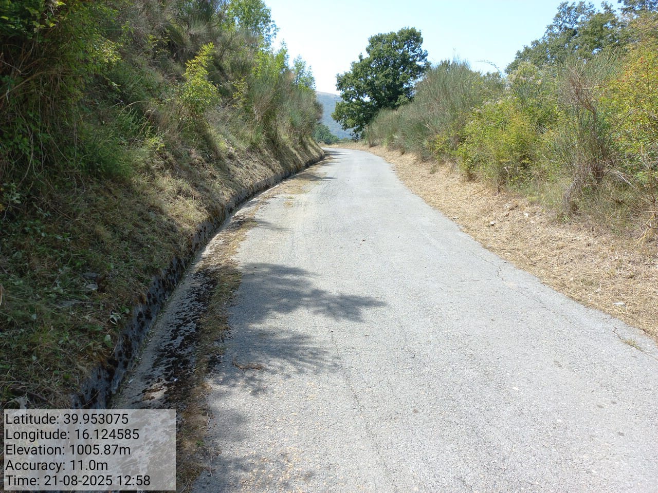 Galleria Fotografica Immagine