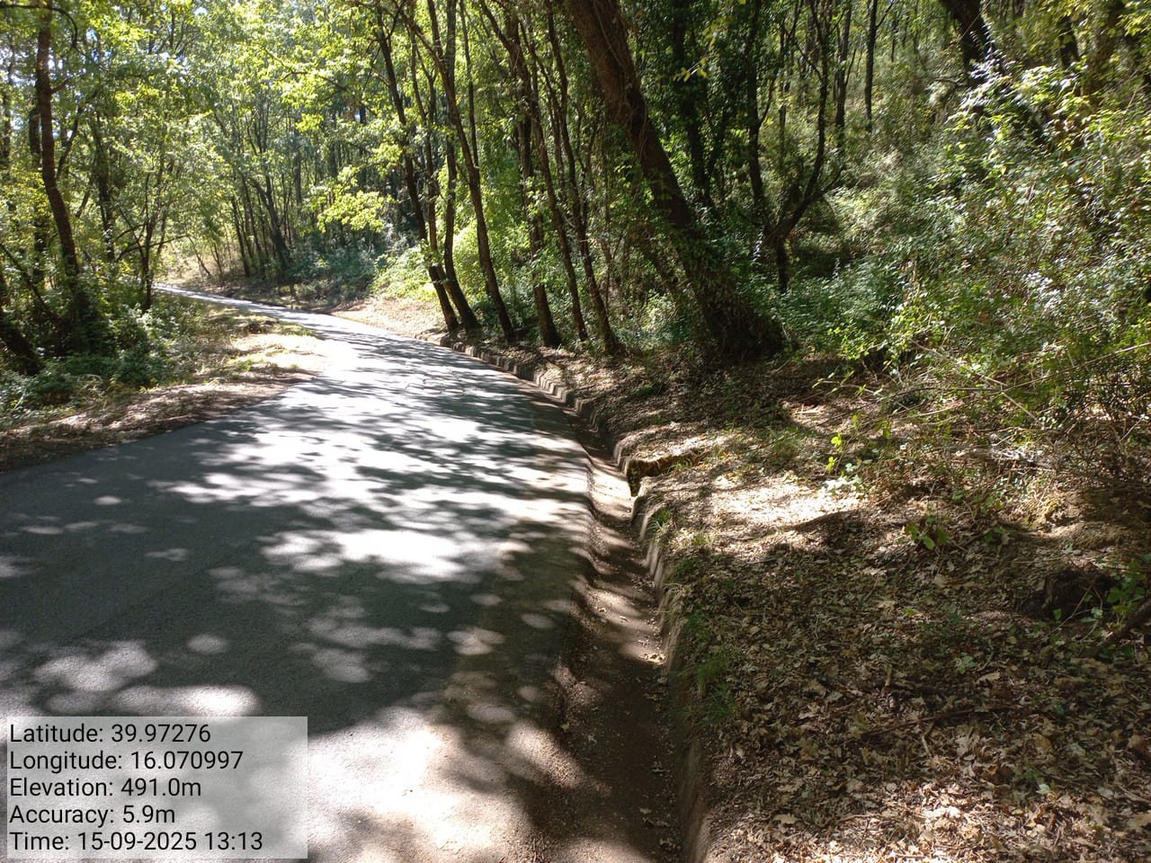 Galleria Fotografica Immagine