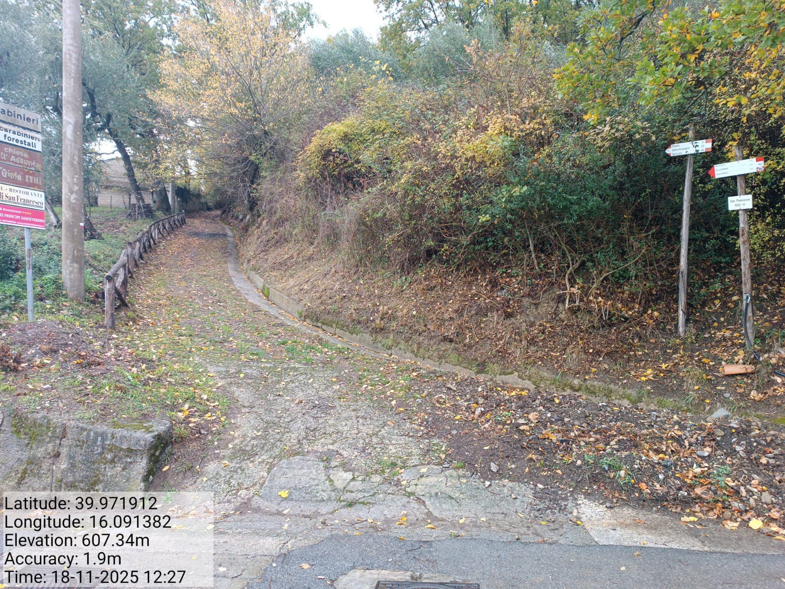 Galleria Fotografica Immagine