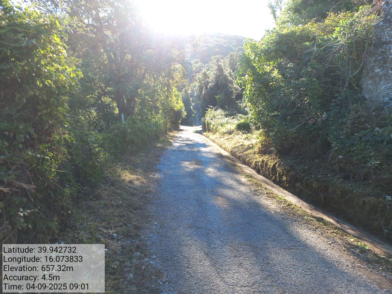 Galleria Fotografica Immagine