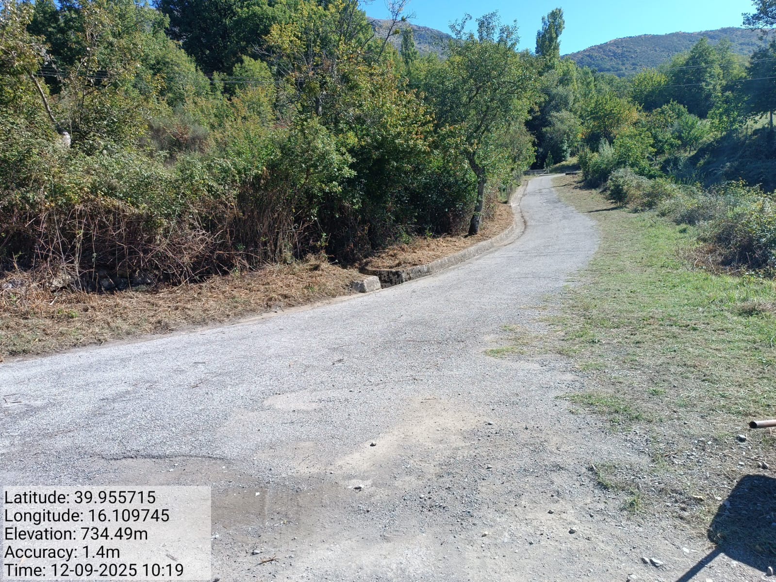 Galleria Fotografica Immagine