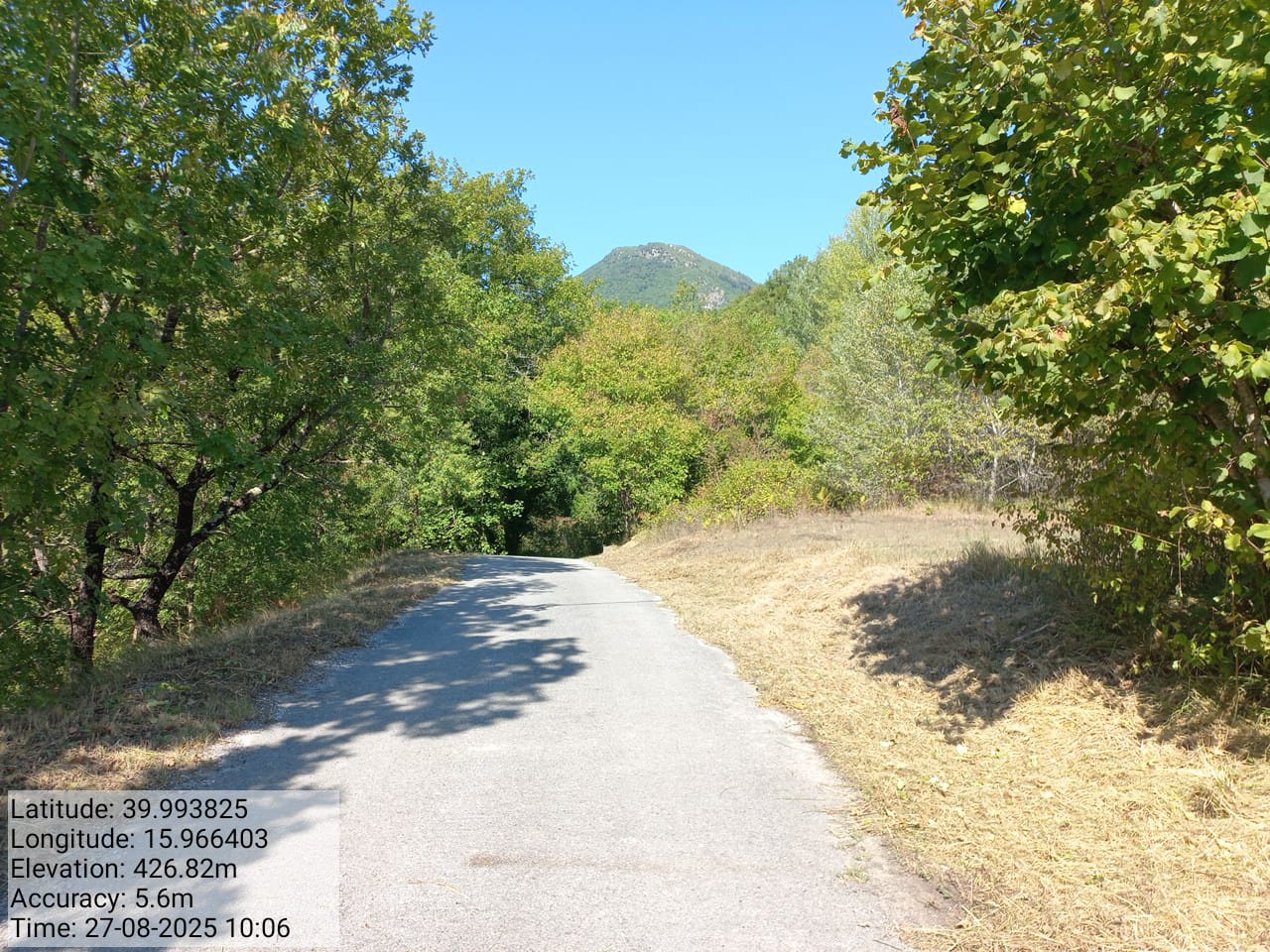 Galleria Fotografica Immagine