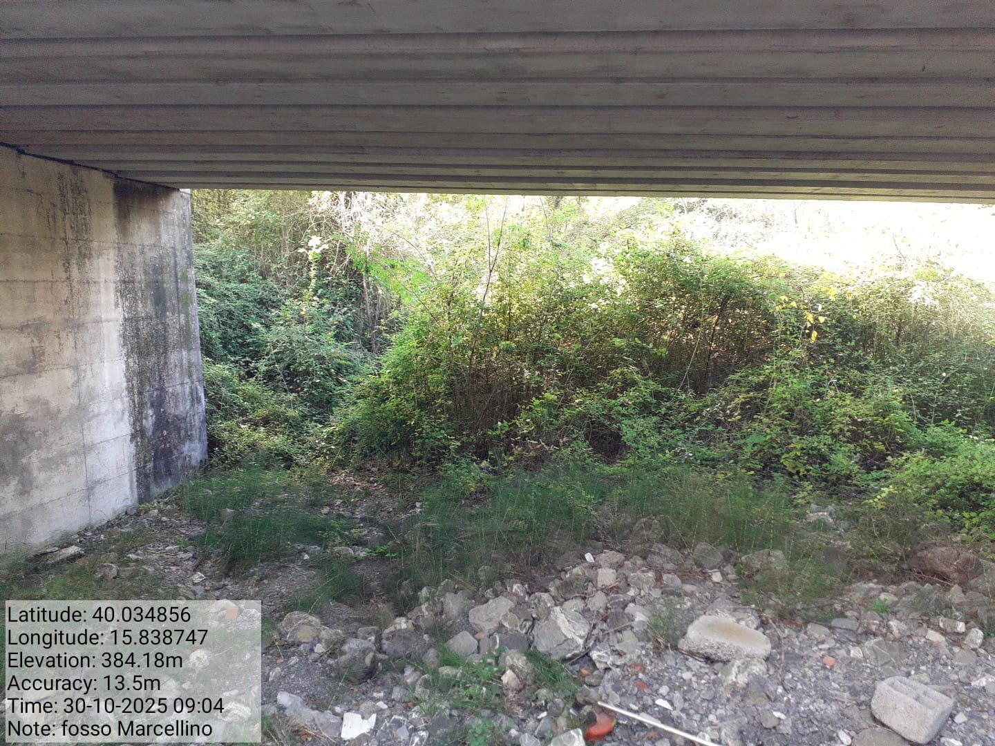 Galleria Fotografica Immagine