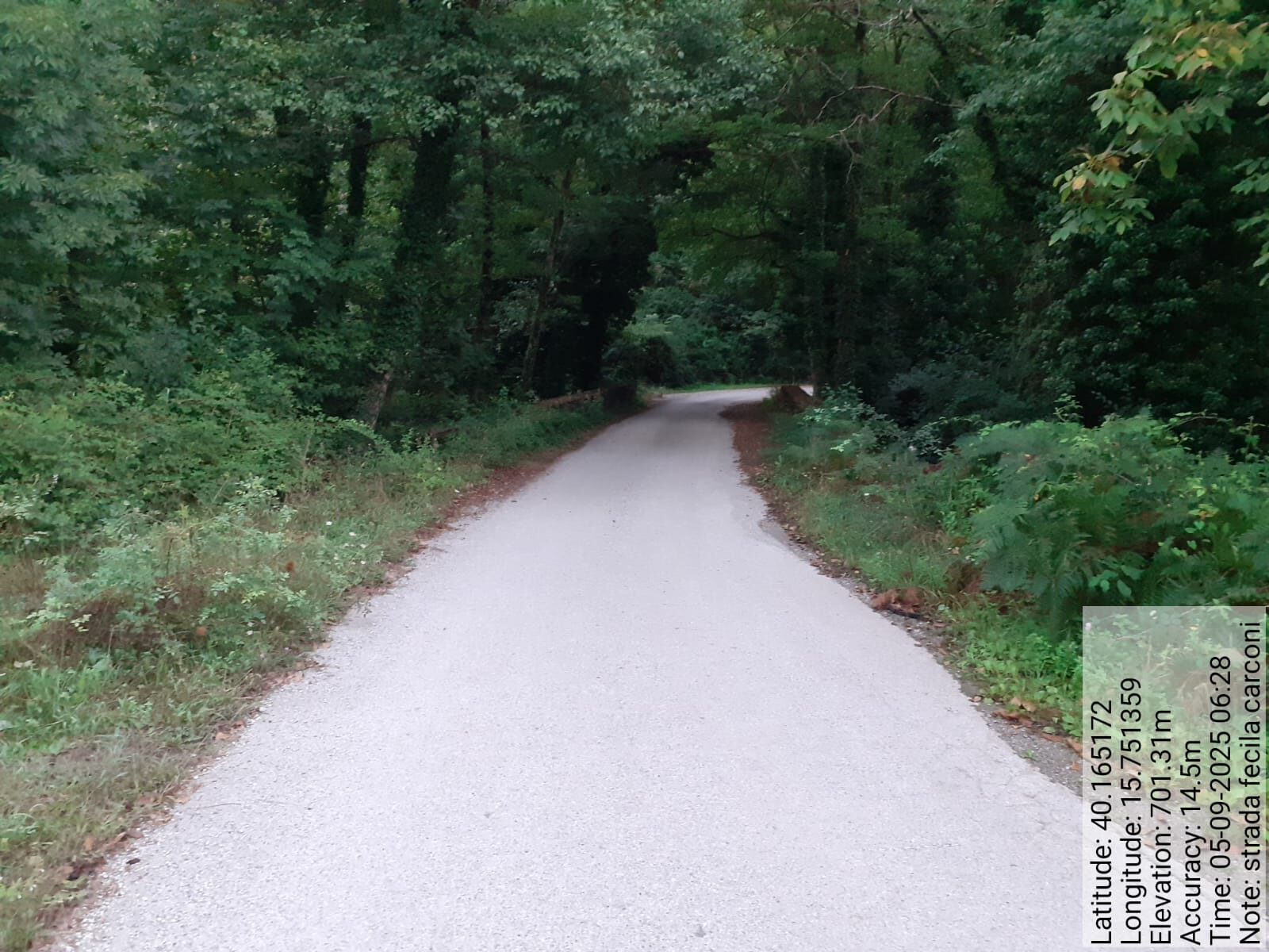 Galleria Fotografica Immagine