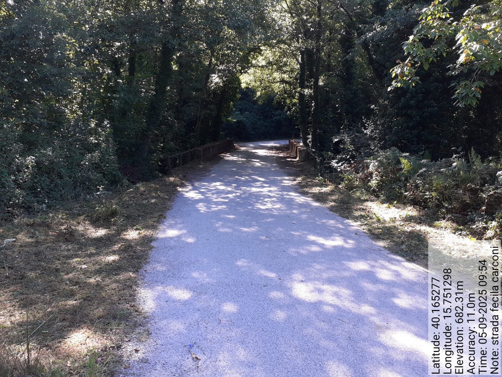 Galleria Fotografica Immagine