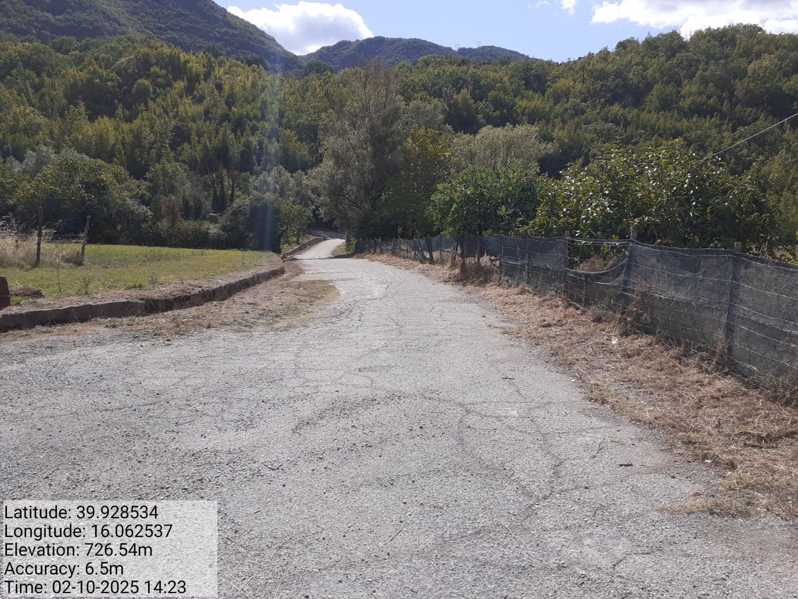 Galleria Fotografica Immagine