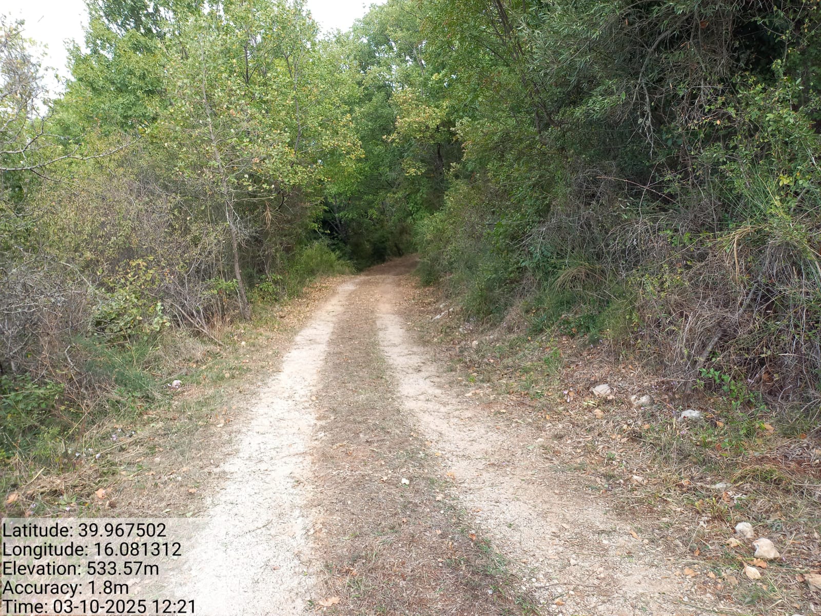 Galleria Fotografica Immagine