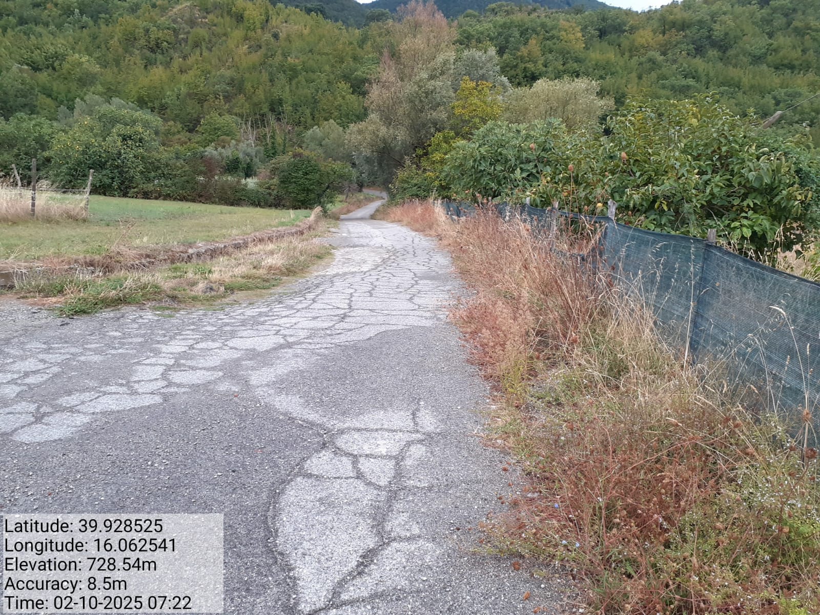 Galleria Fotografica Immagine