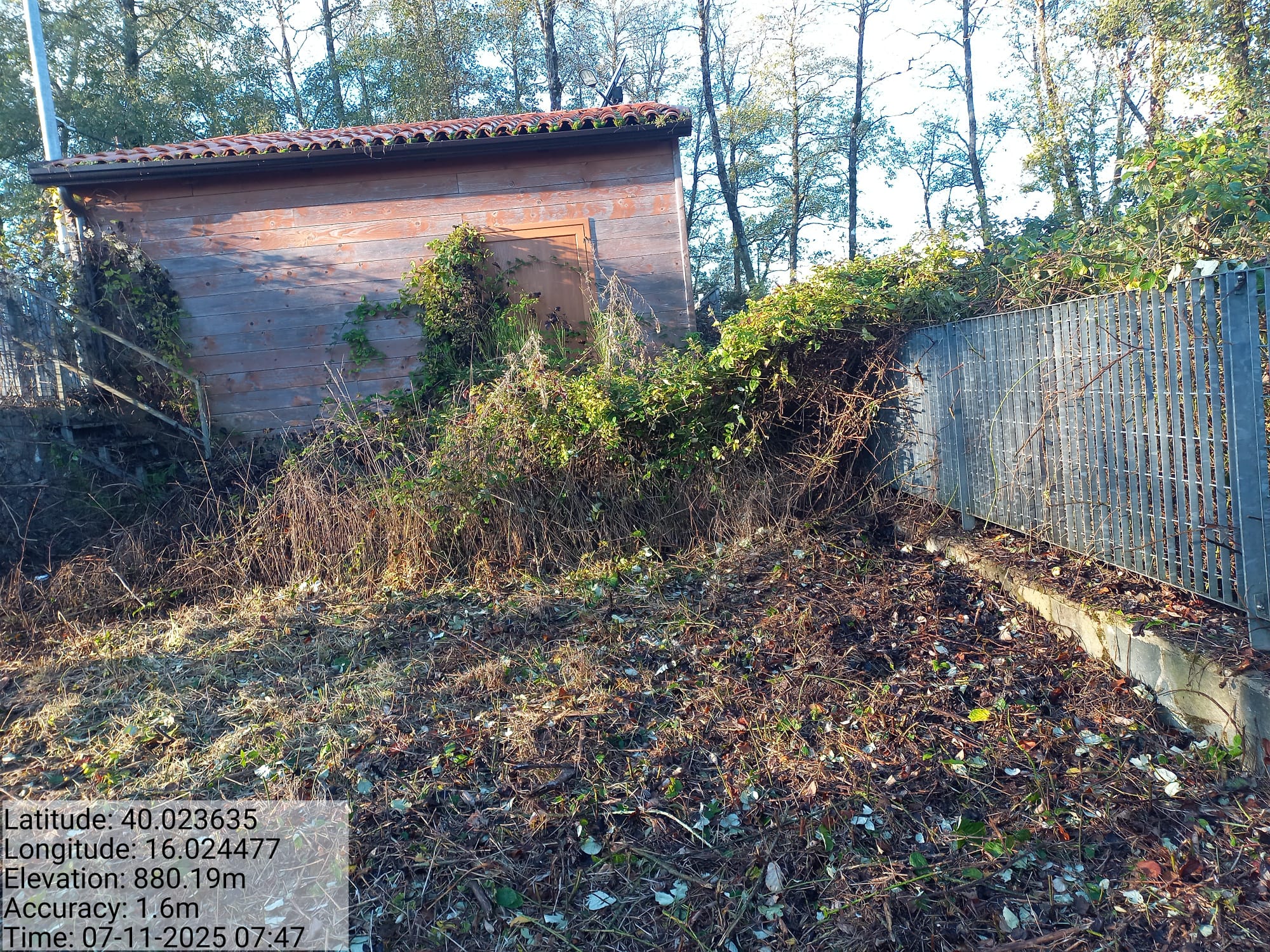 Galleria Fotografica Immagine