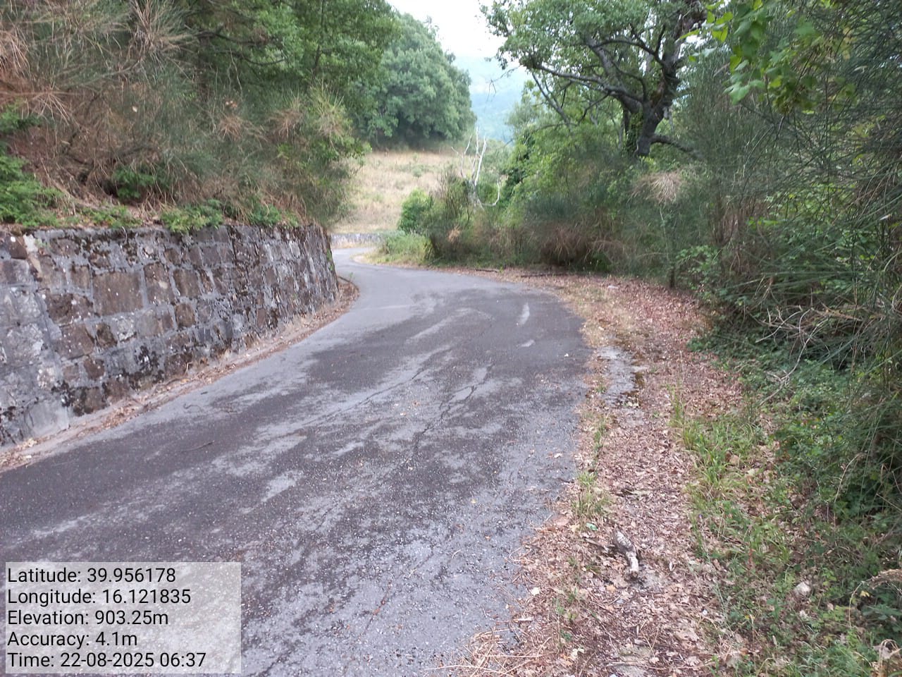 Galleria Fotografica Immagine