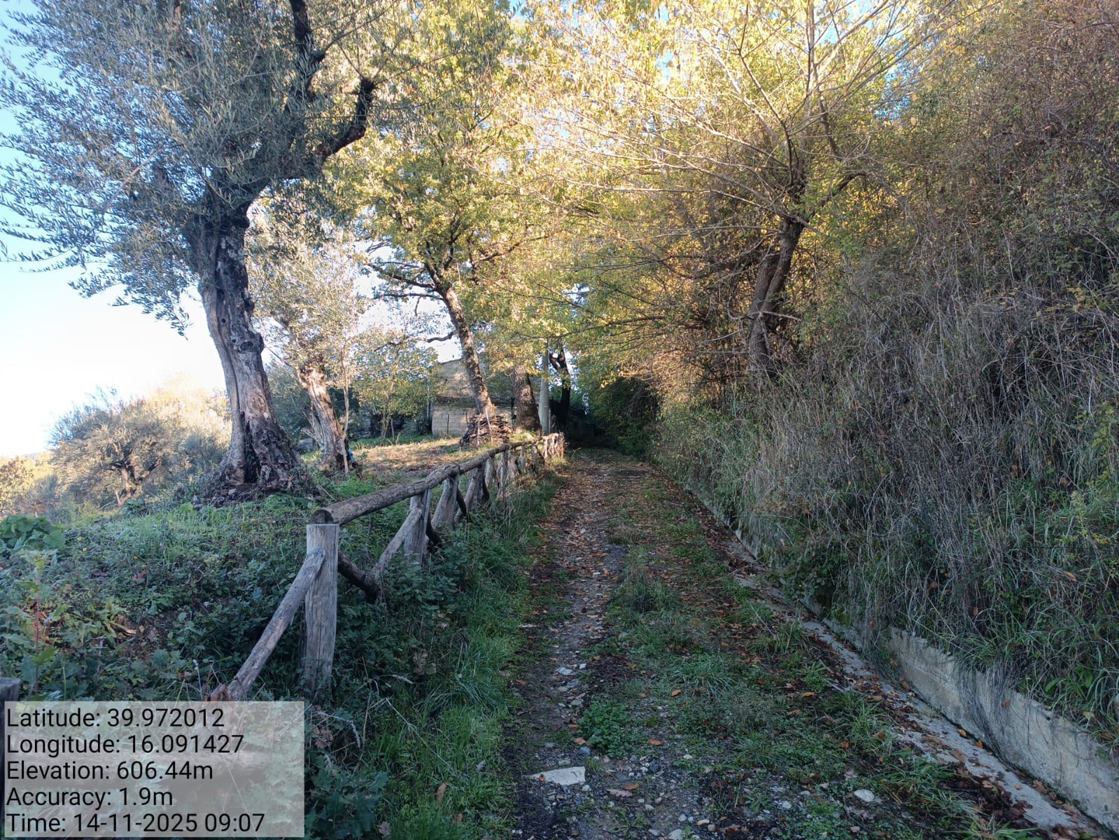 Galleria Fotografica Immagine