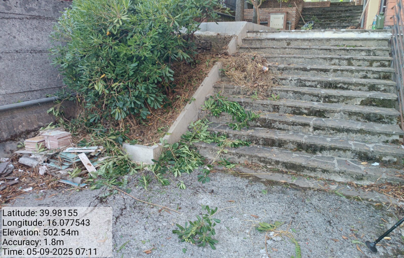 Galleria Fotografica Immagine