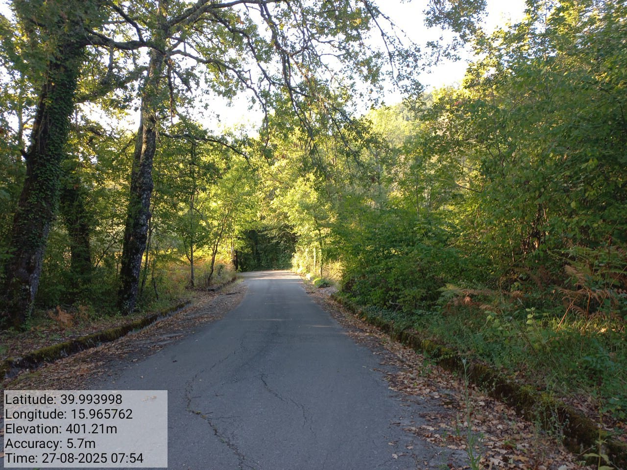 Galleria Fotografica Immagine