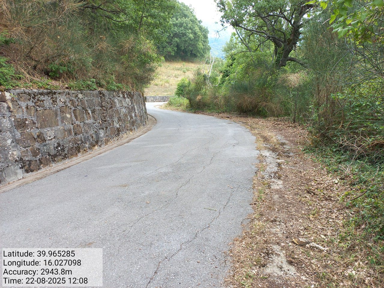 Galleria Fotografica Immagine