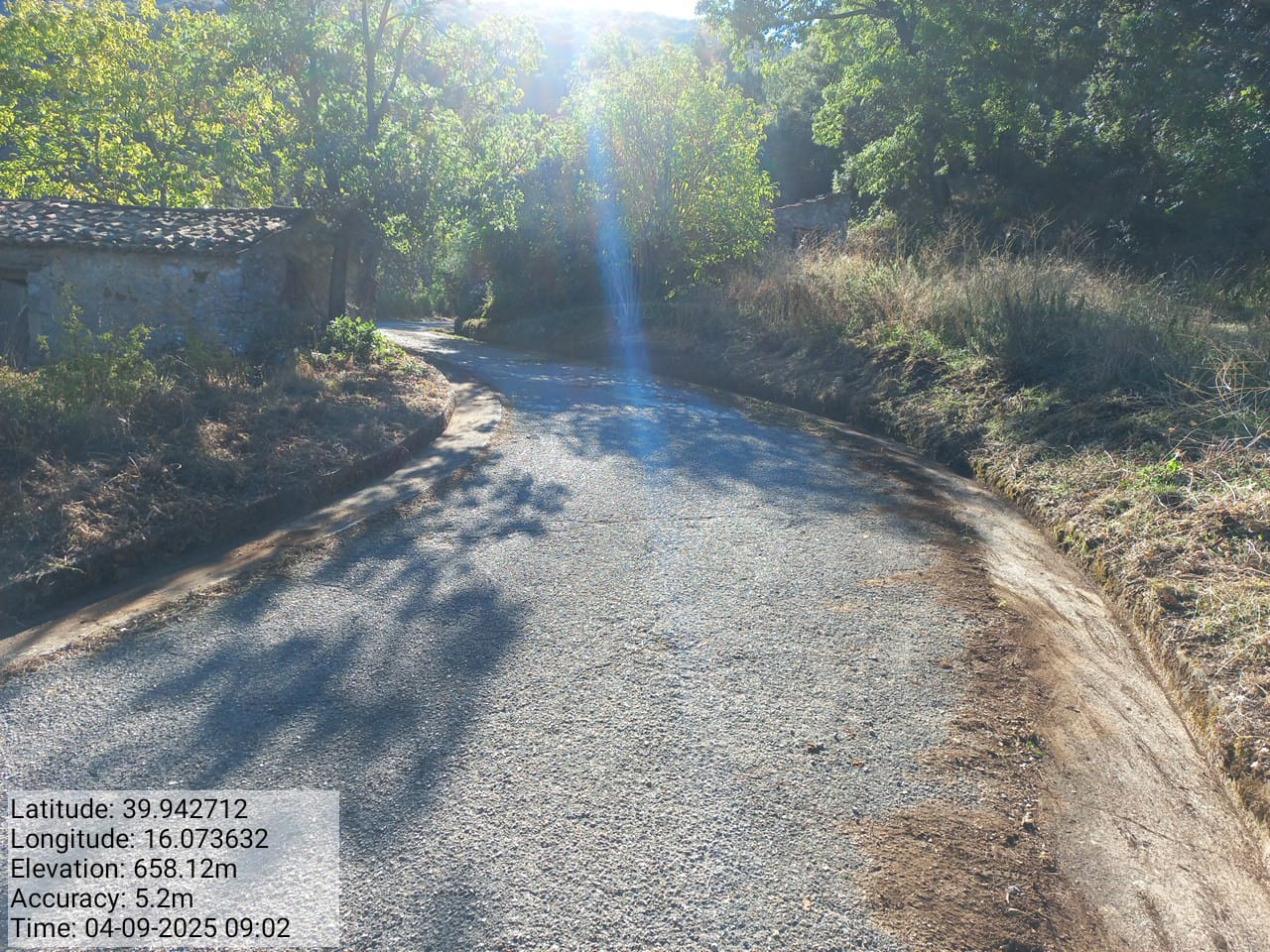 Galleria Fotografica Immagine