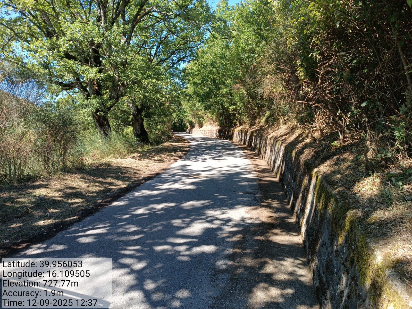 Galleria Fotografica Immagine