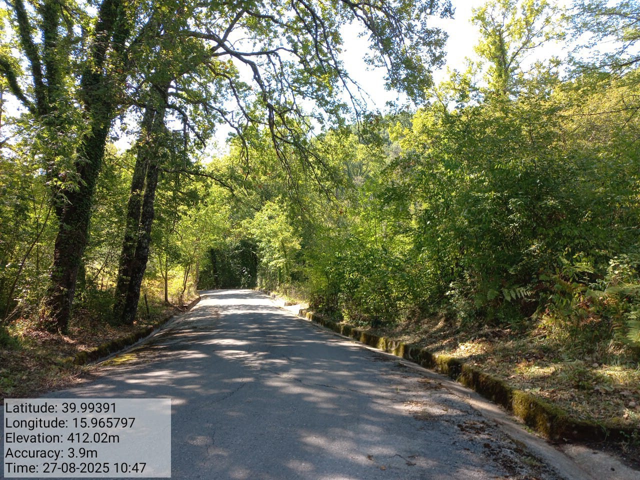 Galleria Fotografica Immagine