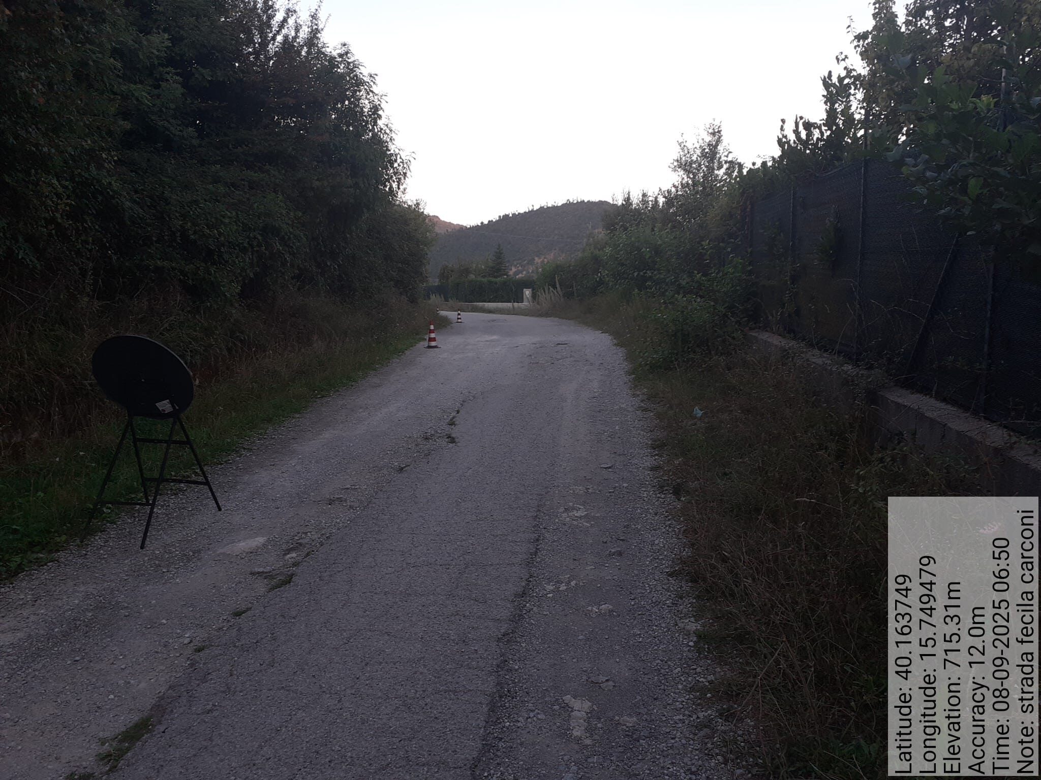 Galleria Fotografica Immagine