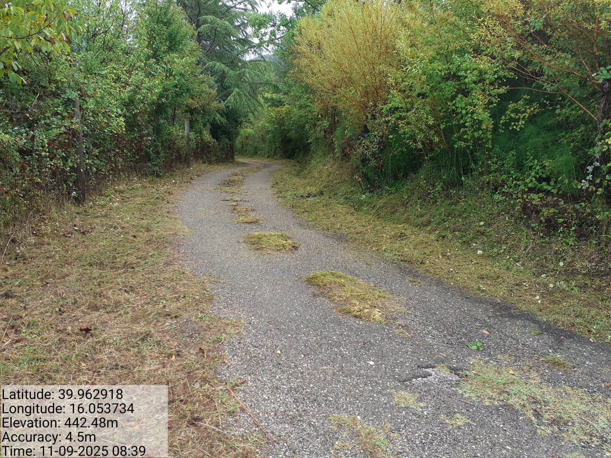 Galleria Fotografica Immagine