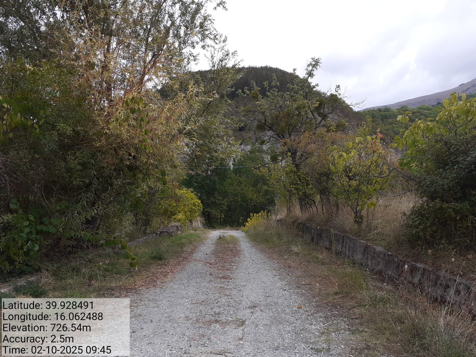 Galleria Fotografica Immagine