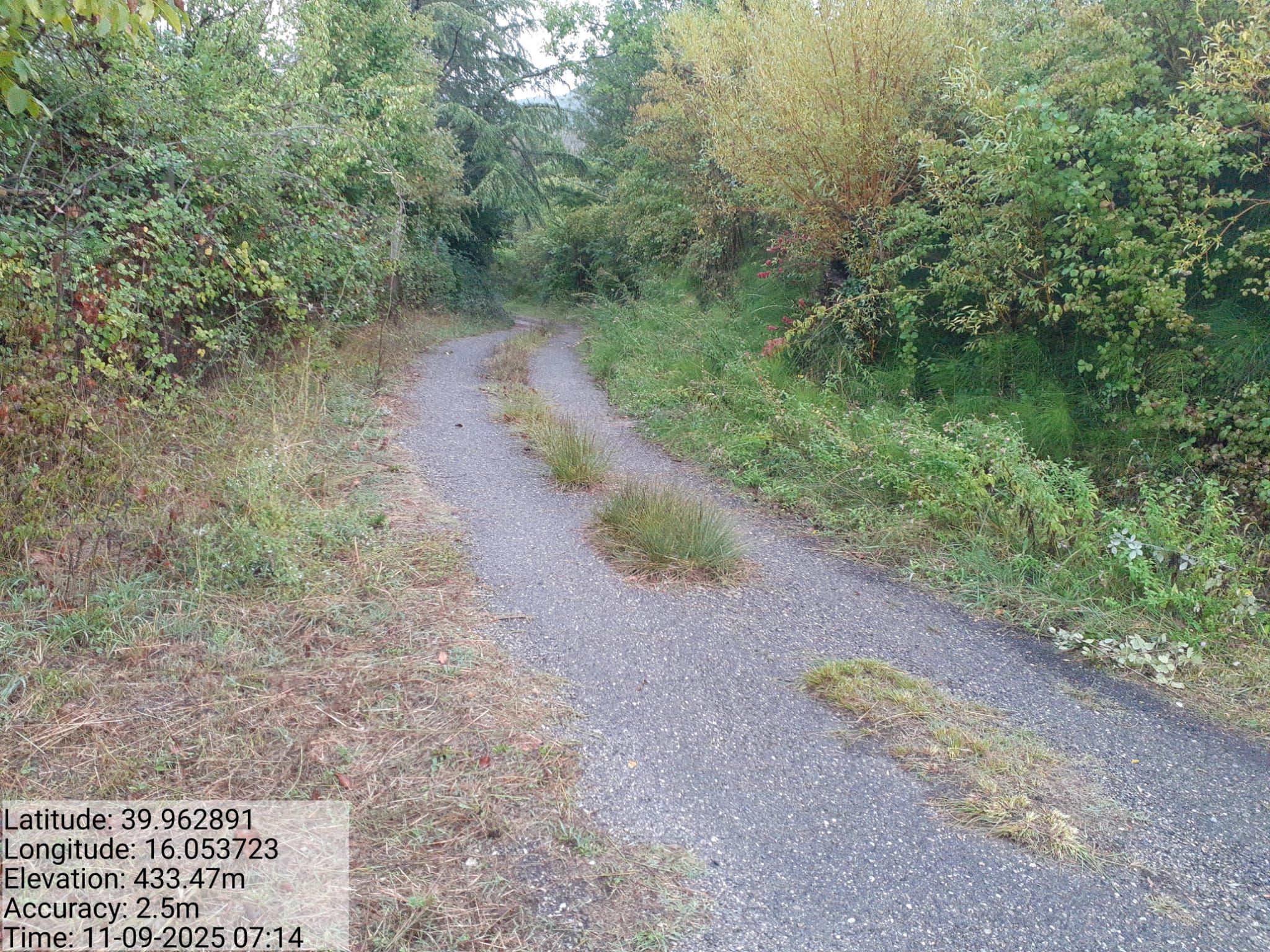 Galleria Fotografica Immagine