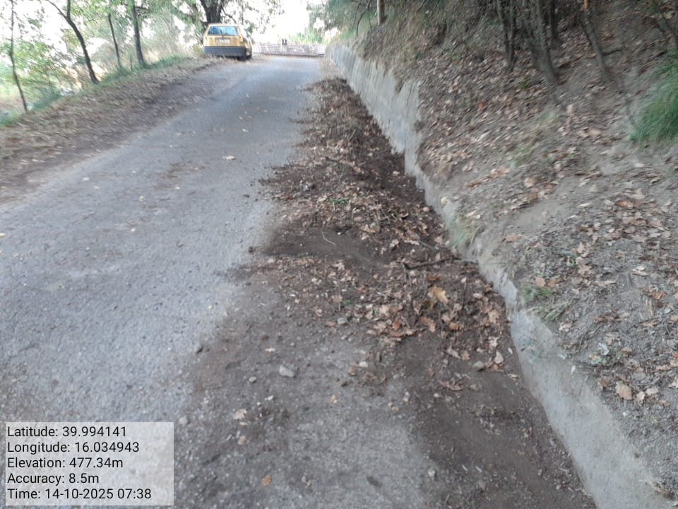 Galleria Fotografica Immagine