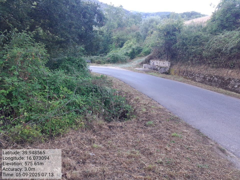 Galleria Fotografica Immagine