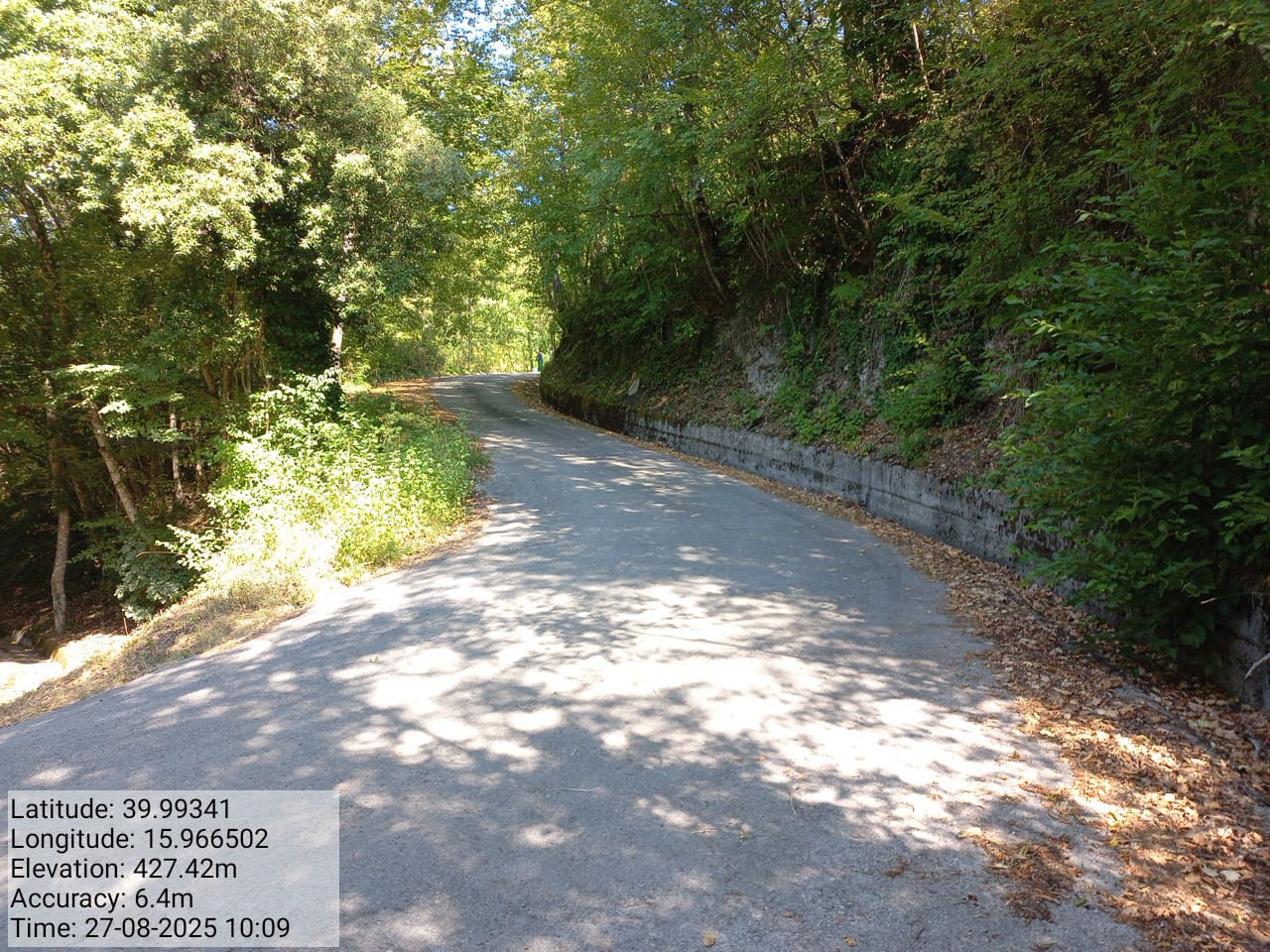 Galleria Fotografica Immagine