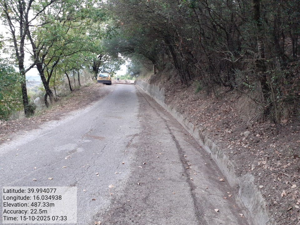 Galleria Fotografica Immagine