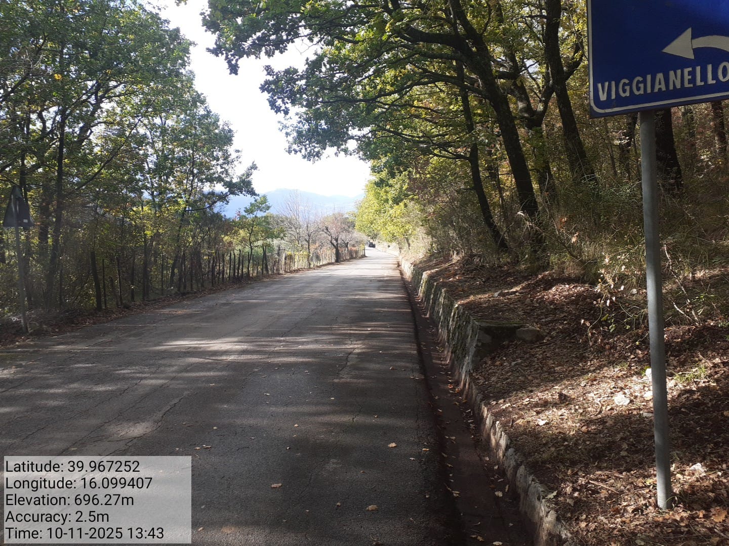 Galleria Fotografica Immagine