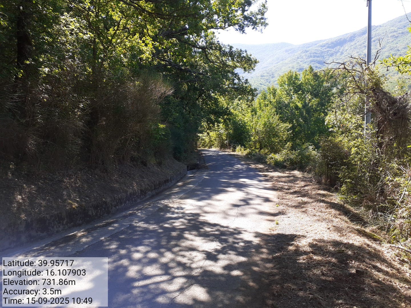 Galleria Fotografica Immagine