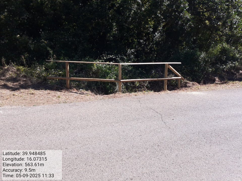 Galleria Fotografica Immagine