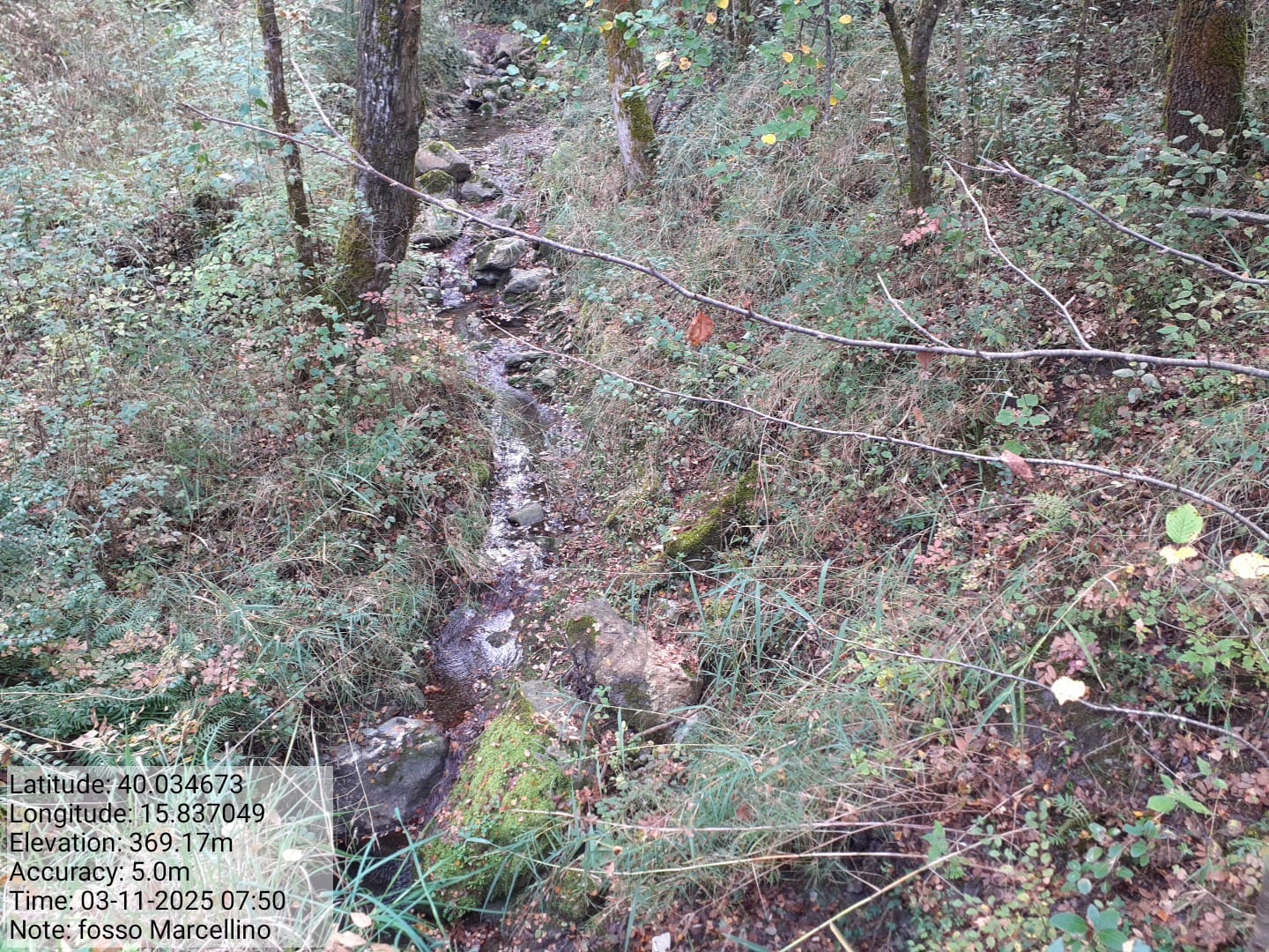 Galleria Fotografica Immagine