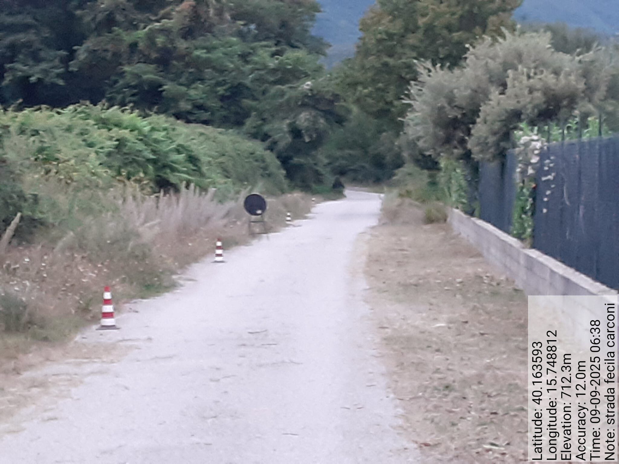 Galleria Fotografica Immagine