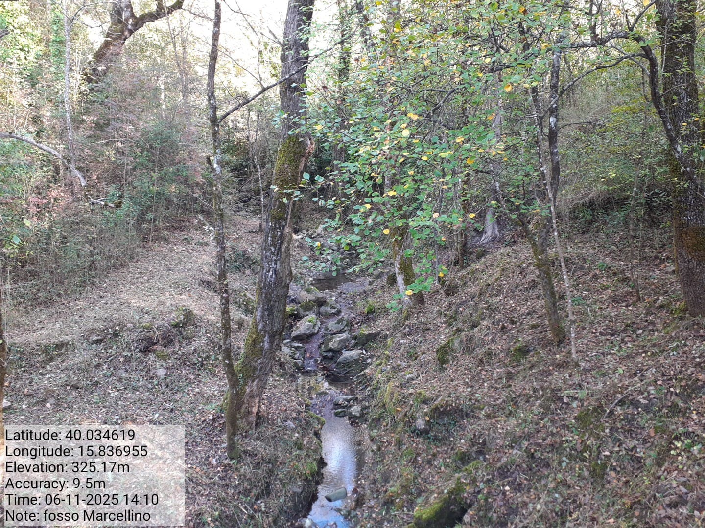 Galleria Fotografica Immagine