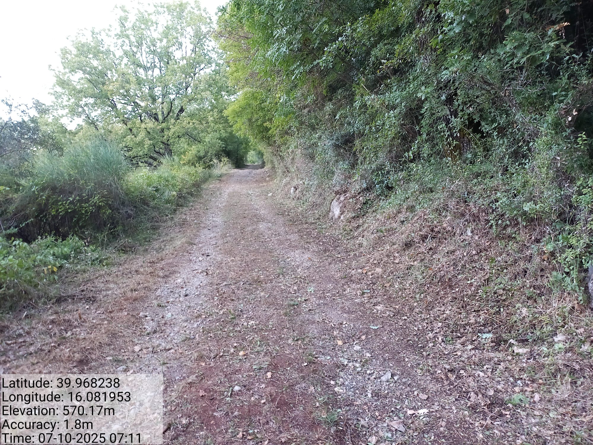 Galleria Fotografica Immagine