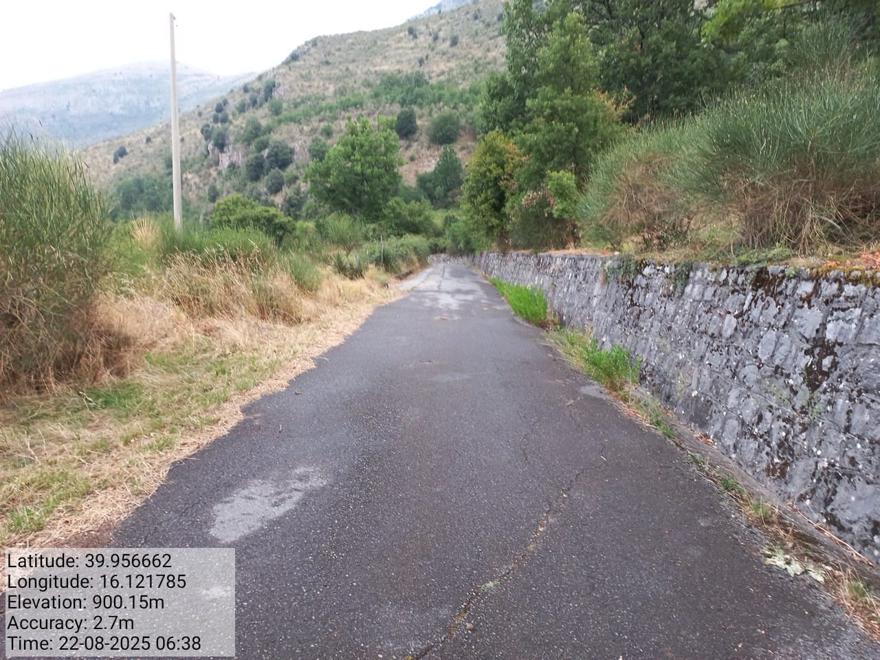 Galleria Fotografica Immagine