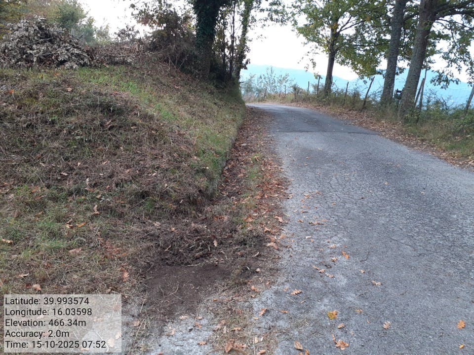 Galleria Fotografica Immagine