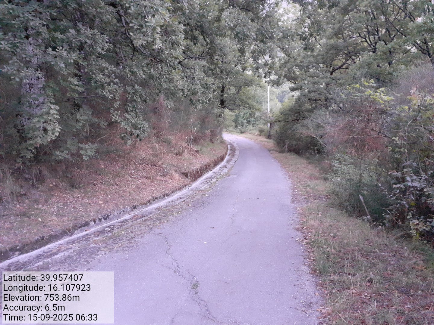 Galleria Fotografica Immagine