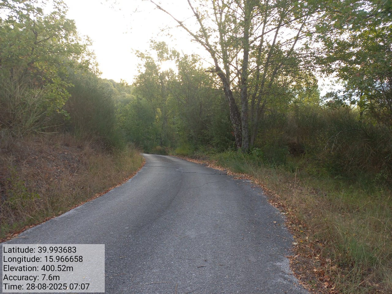 Galleria Fotografica Immagine