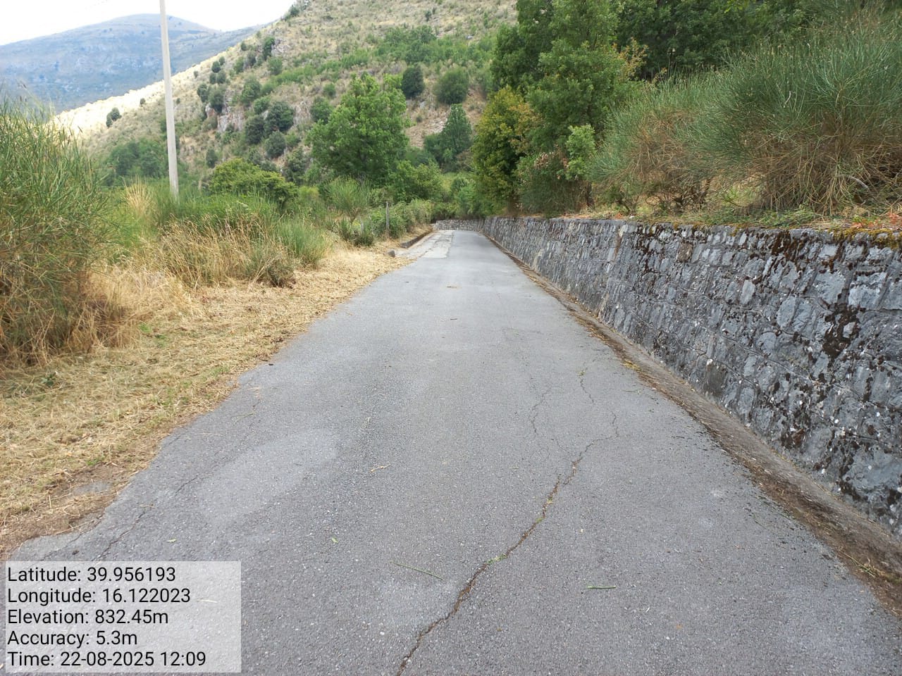 Galleria Fotografica Immagine