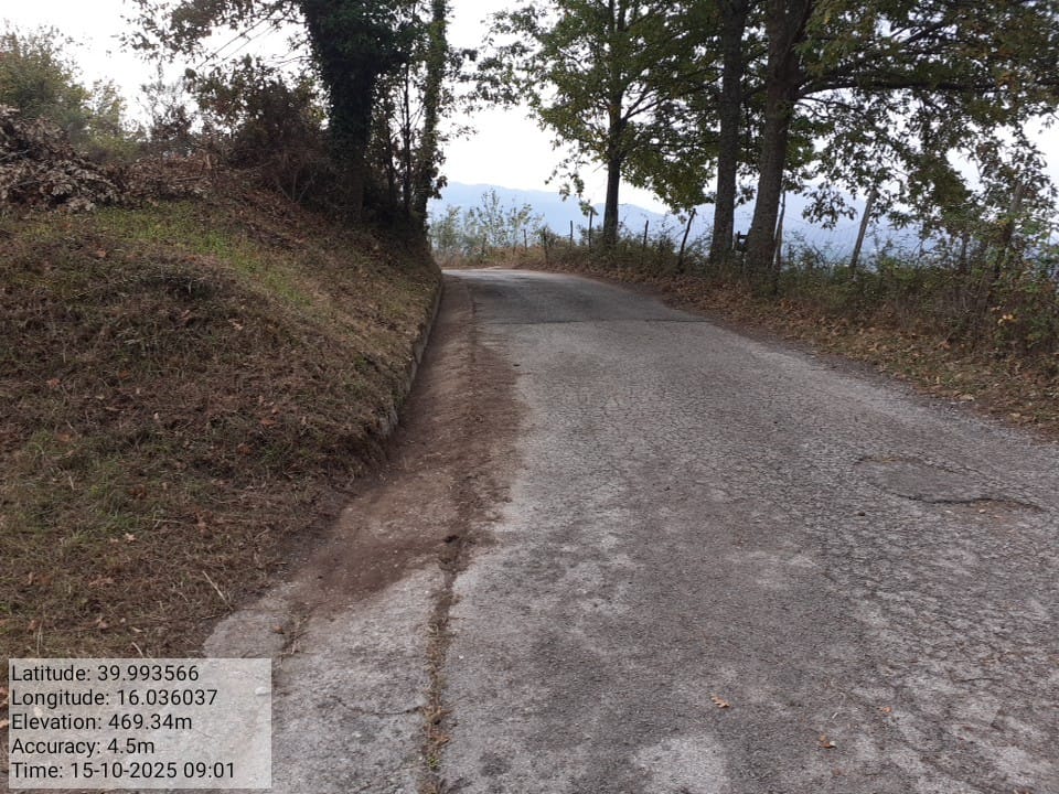 Galleria Fotografica Immagine